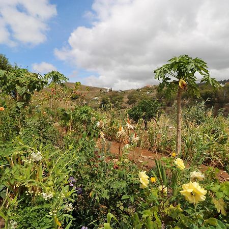 Countryside Views House Teror Apartment ภายนอก รูปภาพ