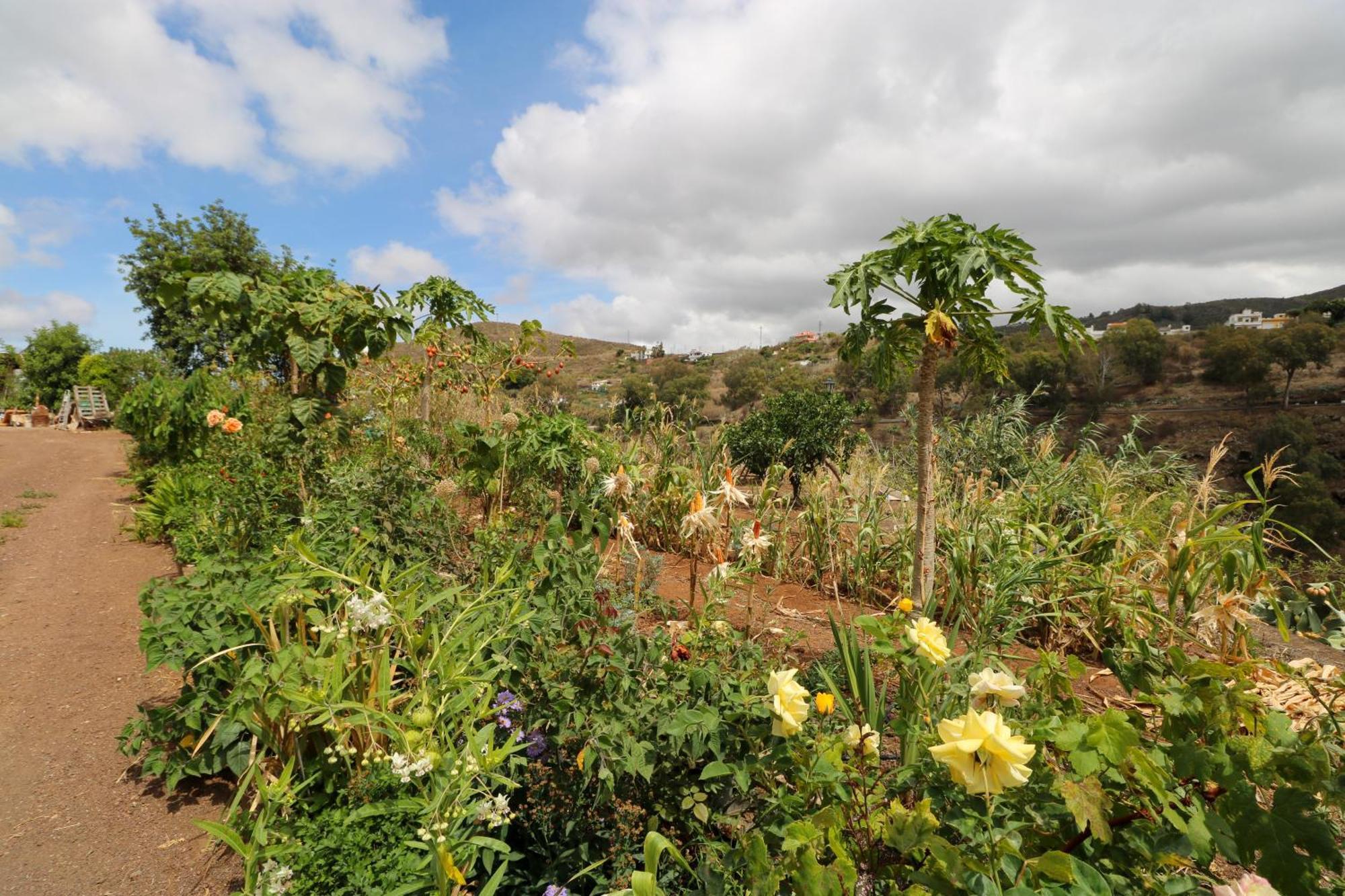 Countryside Views House Teror Apartment ภายนอก รูปภาพ